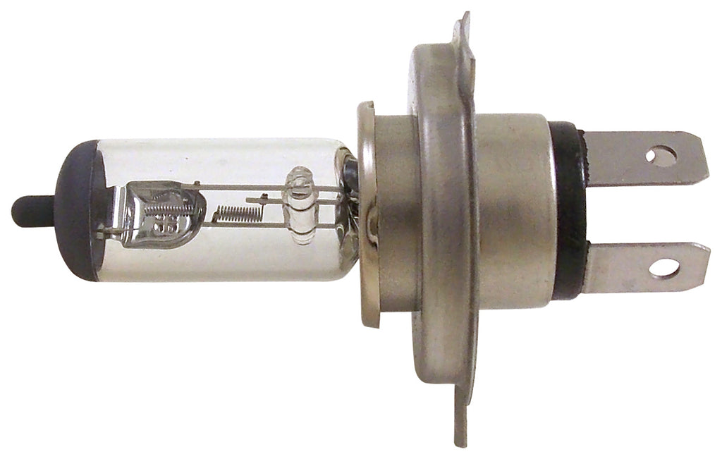 Halogen Headlight Bulb (12V)